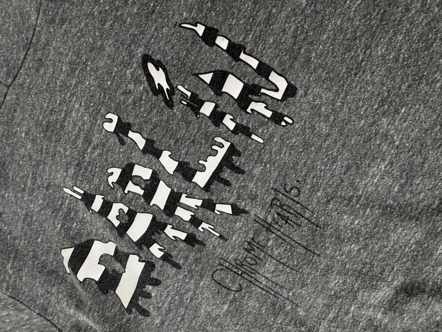 Chrome Hearts Heather Grey Light Weight Zip up Matty Boy Darlin Print Logo Hoodie